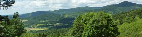 Wandern Erklimmen Sie den Hausberg der Ferienregion Hirschenstein!