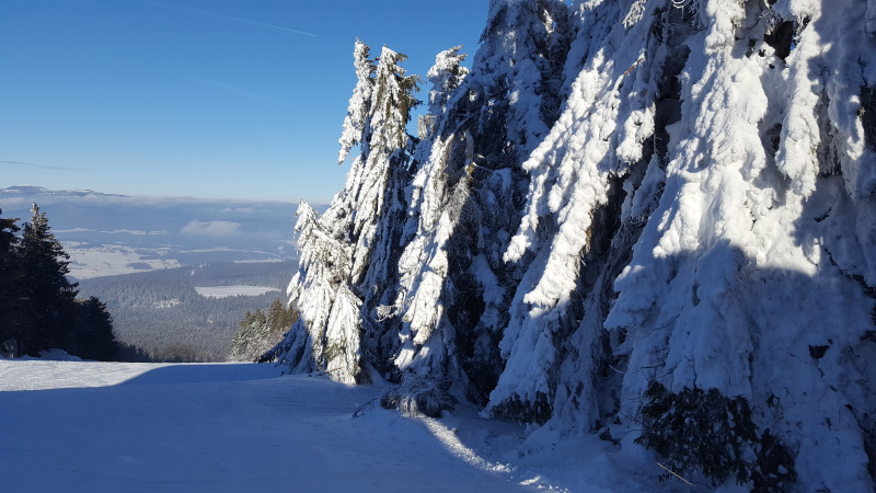 Winteraktivit&auml;t Ski