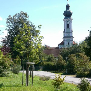 33 St. Vitus Kirche Neuhausen IV