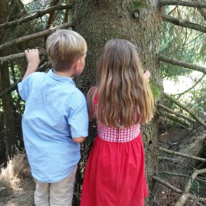 Holzhackerfest am Voglsang